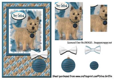 Scotti Dog for Christmas Qs