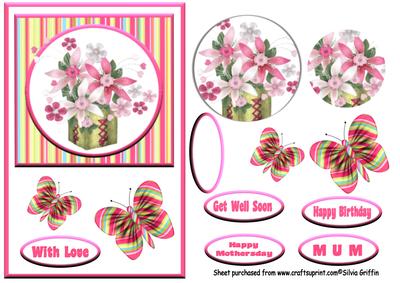 Pink Flowers with Butterflies Qs