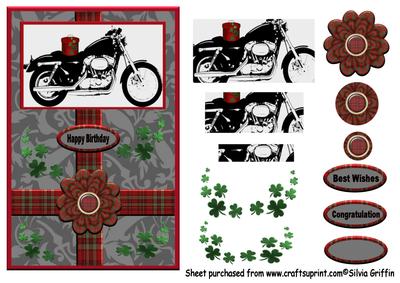 Tartan Motor Bike Qs