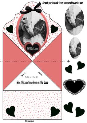 Black and White Horses in Love Fc
