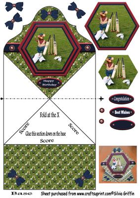 Cricket Folded Card