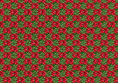 Poinsettia Green Bg