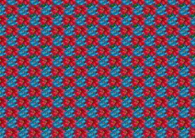 Poinsettia 2 Bg