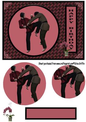 Karate Girl Bd Qs