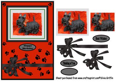 Black Schnauzer Birthday Card Qs