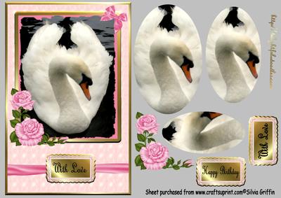 Swan with Pink Roses Qs