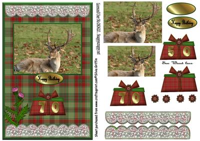 Stag with Tartan Bg Qs