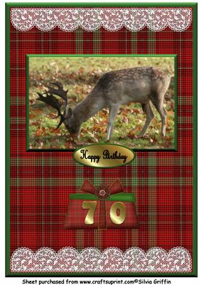 Stag on Red Tartan Bg A4