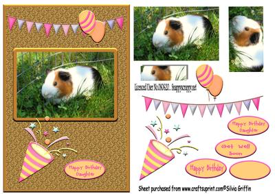 Guinea Pig Girl Qs
