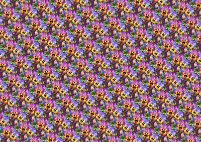 Purple and Blue Pansy Bg Horizontal