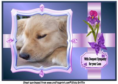 Dog Sympathy A4