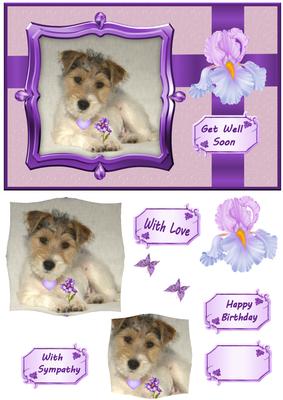 Puppy Get Well and More Qs