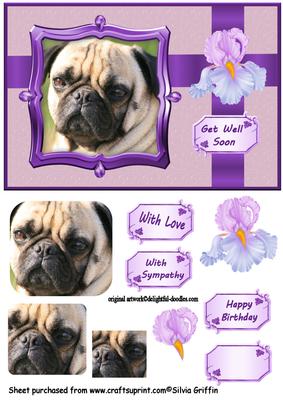 Pug Dog Birthday and More Qs