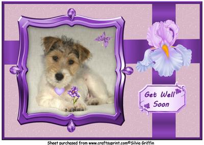 Puppy with Flowers Get Well A4