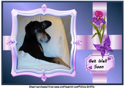 Dog in Bed Get Well A4
