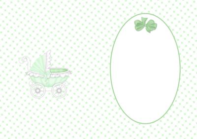 New Baby Mint Carriage Insert
