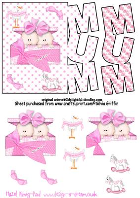 New Baby Girl Twins Mum