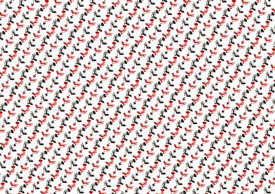 Red and Black Ladies Shoe on White Bg