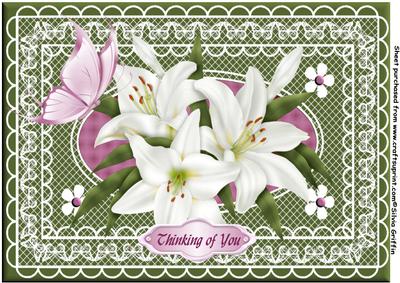 Lillie's and Butterfly A4