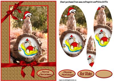 Santa and Meerkat Christmas Qs