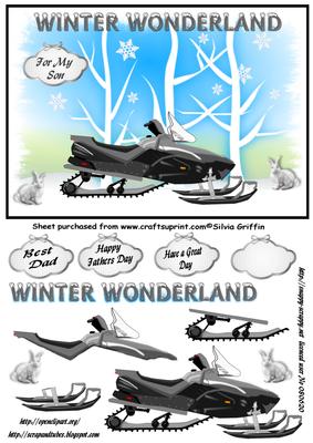 Black Snowmobile in Winter Wonderland Qs