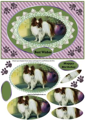 Butterfly - Papillon Dog Pyr