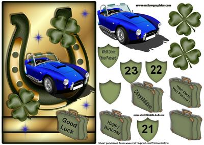 Horse Shoe and Clover with Blue Racing Car- 1 Qs