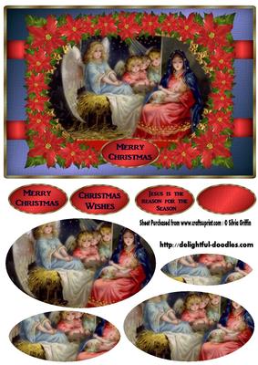 Nativity Surounded with Pointettia Py