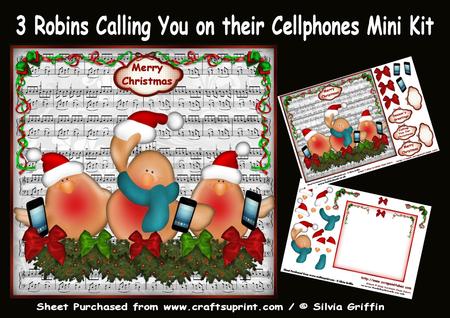 3 Cute Robins Calling You in Their Cellphone Mini Kit