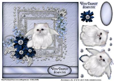 Sweet Cat Sympathy Qs