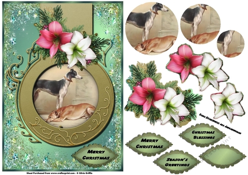 Greyhound Christmas QS