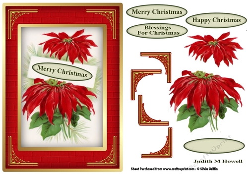 Poinsettia Greetings 