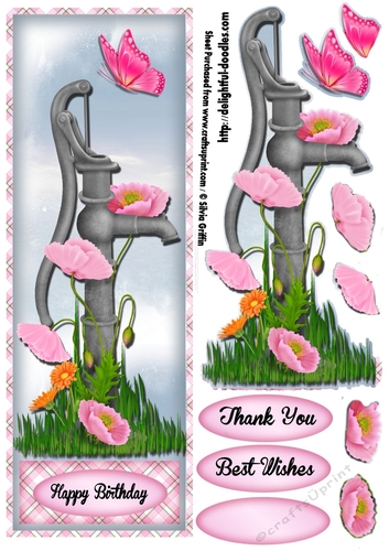 Pink Popies with Butterfly DL