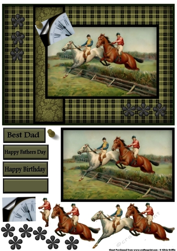 A day at the Horse Rases DBS