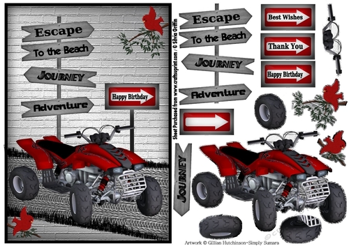 Quad motorbike QS