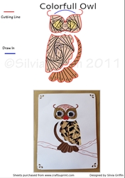 Colorfull Owl Iris folding