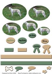 Italian Greyhound - Whippet