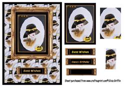 Black Hat Lady Qs