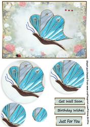 Blue Butterfly Qs