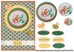 Orange Lily Qs