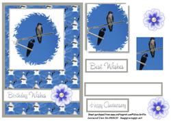 Purple Martin Birds Qs