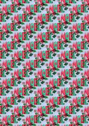 Noel- Bs