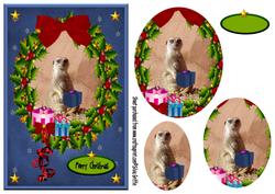 Meerkat Christmas Qs