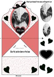 Black and White Horses in Love Fc