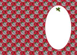 Poinsettia 3 Is