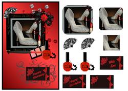 Silver Shoes Qs
