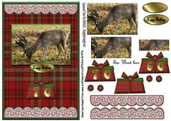 Stag on Tartan Background Qs