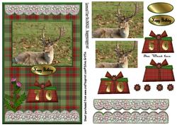 Stag with Tartan Bg Qs