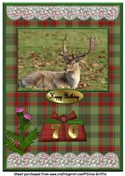 Stag on Tartan Paper A4