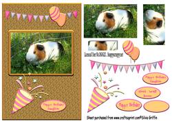 Guinea Pig Girl Qs